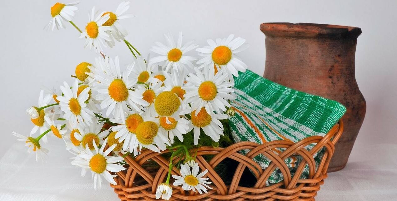 Cómo hacer un tónico facial con flores de manzanilla.